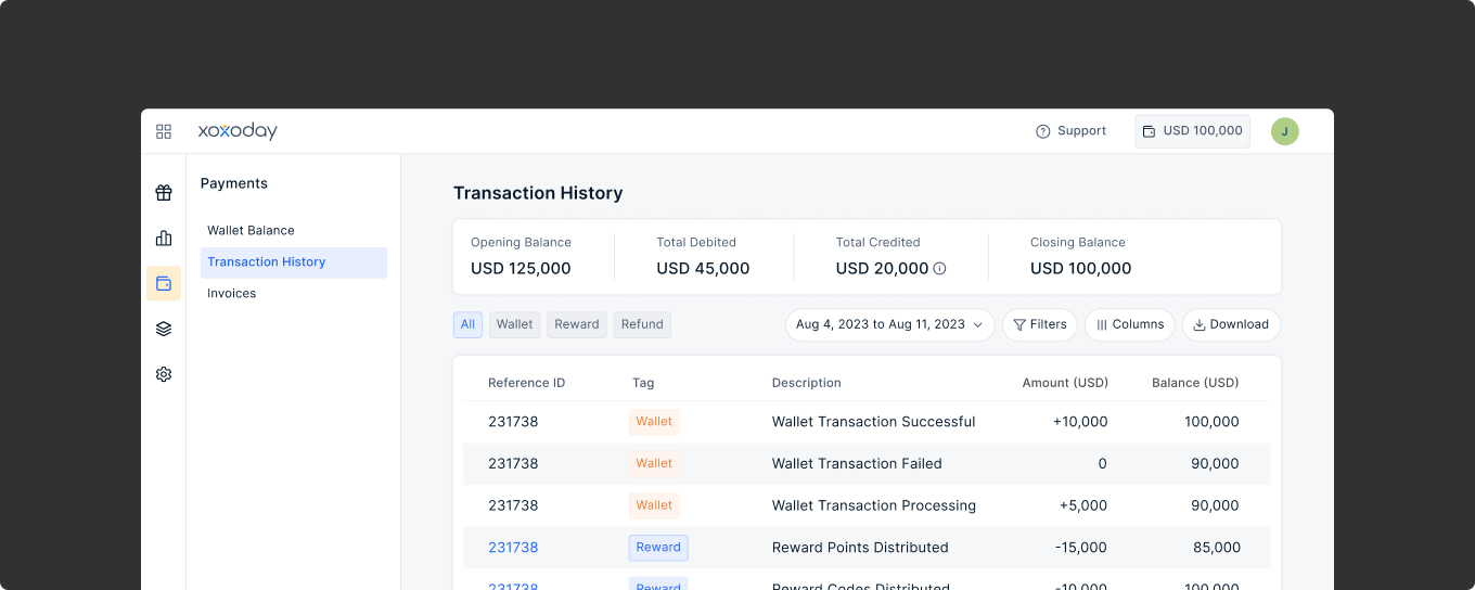 Payments transaction history dashboard with wallet balance and ledger